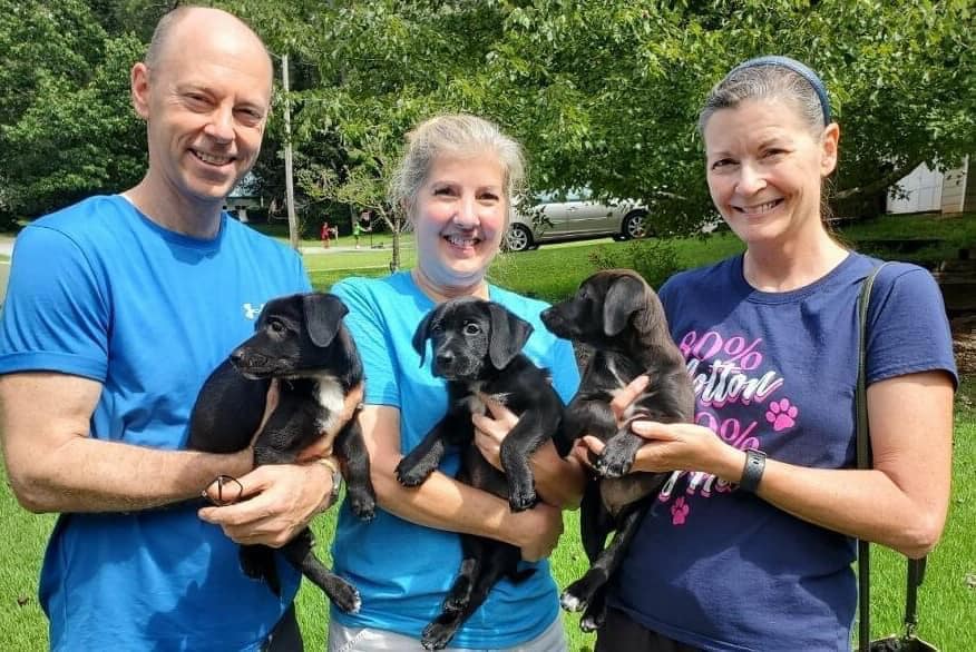 puppies